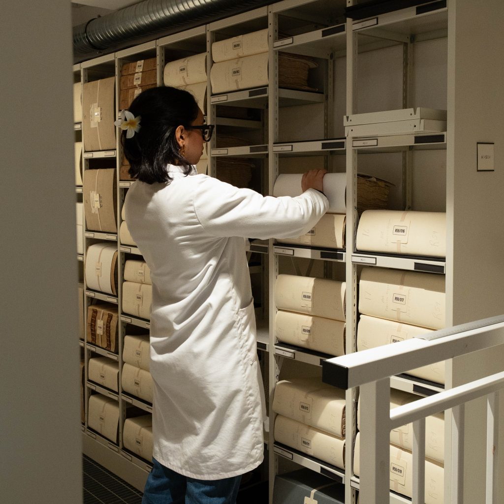 Marsha shelving manuscripts in repository